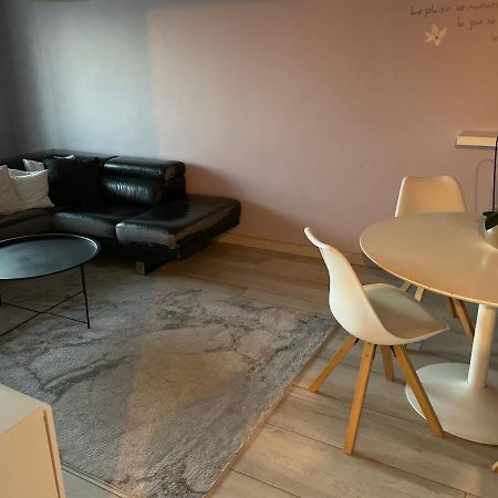 Superbe Appartement Avec Place De Parking Gratuit Strasbourg Exterior foto