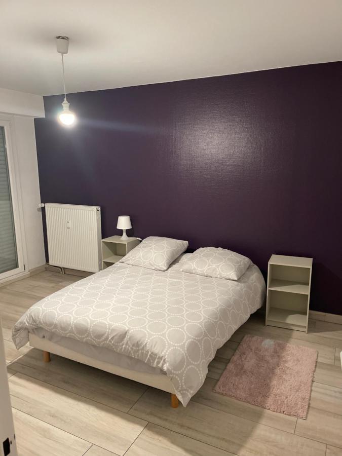 Superbe Appartement Avec Place De Parking Gratuit Strasbourg Exterior foto